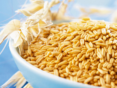 燕麥片的功效與作用 燕麥減肥法