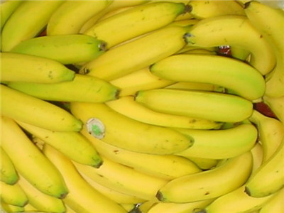 香蕉減肥，吃出不一樣的身材