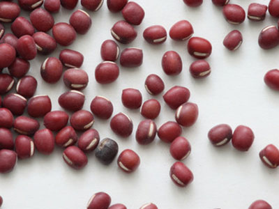 紅豆食譜 營養健康減肥快