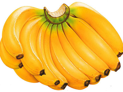 瘦身新主張 香蕉蜂蜜減肥法