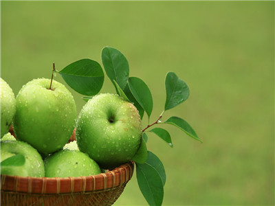 蘋果減肥 三天瘦五斤