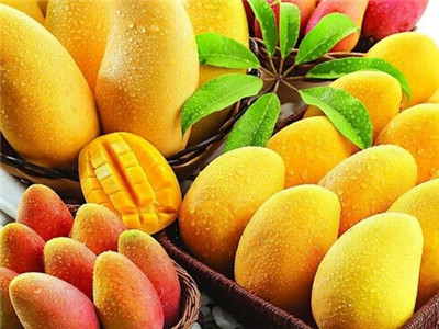 芒果 減肥輕身之果品