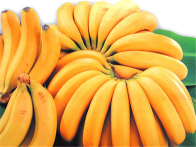 香蕉瘦身大法 45天減14斤