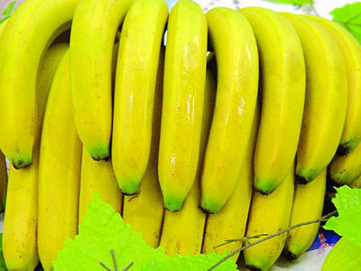 效果驚人的香蕉減肥法