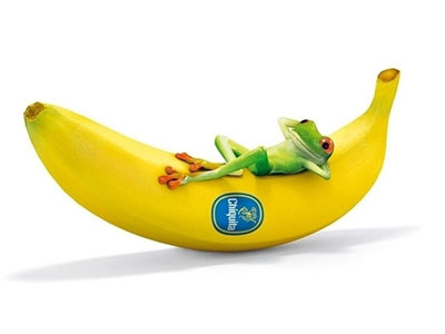 香蕉減肥法 超強的暴瘦效果