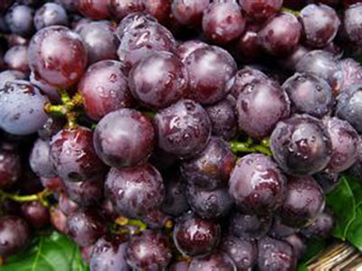 秋季酸性水果不宜多吃 適宜吃的5種水果