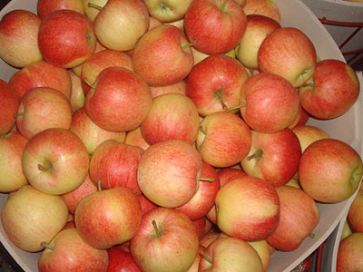 為什麼蘋果可以減肥呢?