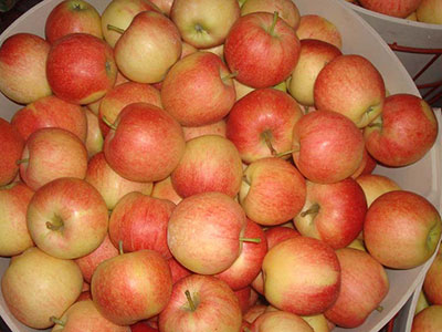 蘋果減肥吃法多樣 讓你甜滋滋瘦下來