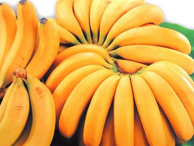香蕉能夠減肥的原因有哪些?