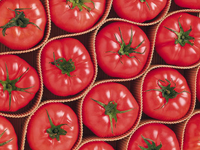 西紅柿減肥法正流行