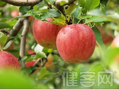 通便止瀉減肥 常吃蘋果防治疾病