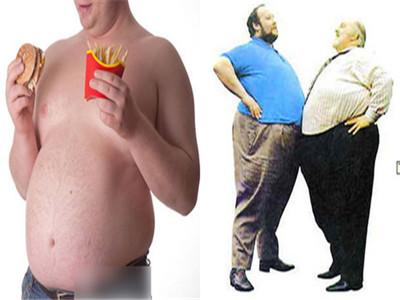 男人肥胖的三大要素是什麼