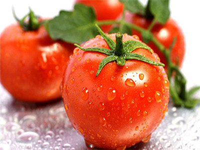 揭秘番茄減肥功效 消滅脂肪於無形中