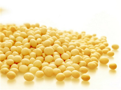 黃豆減肥法 減肥不減胸的食譜