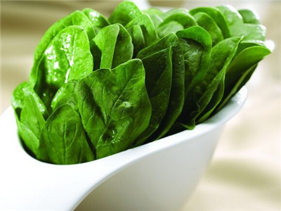 常食用菠菜減肥效果可提升43%