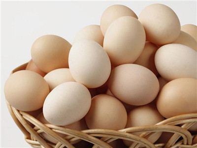 土雞蛋比普通雞蛋更營養 吃雞蛋別入誤區