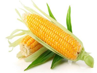 玉米含粗纖維有助減肥