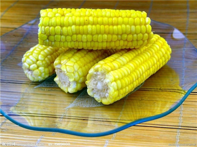 玉米3種吃法可火速瘦身 小妙招挑出好玉米