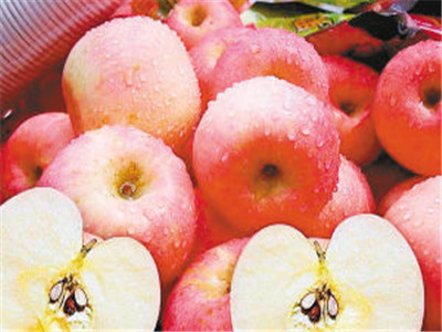 蘋果減肥的正確方法 天天吃蘋果減肥是個大誤區
