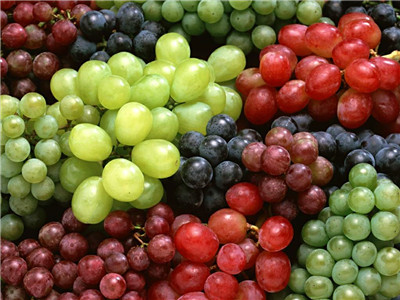 吃什麼水果減肥？紫色水果助於排毒瘦身