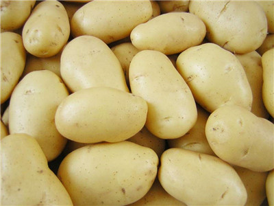 土豆減肥法 這樣吃土豆竟然能瘦身