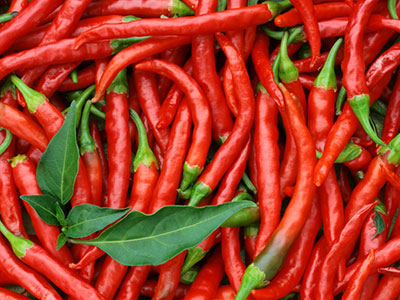 盤點2012奇葩減肥法 生吃辣椒可以減肥嗎