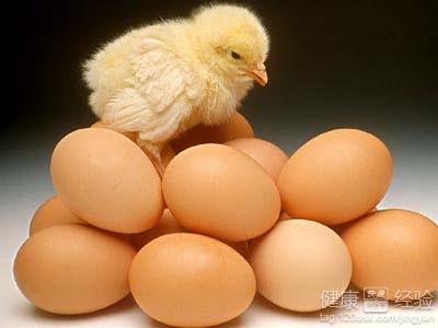 早晨吃雞蛋有好處耐餓減肥提高記憶力