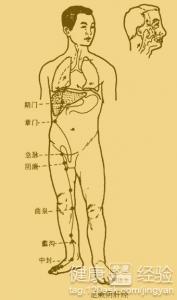 肝膽經經絡圖高清別樣中醫經絡療法打通人體精氣神