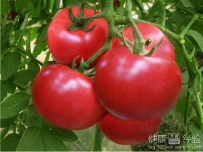 西紅柿什麼時候吃能減肥