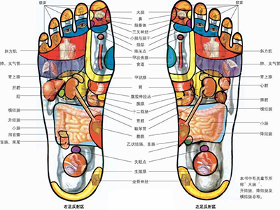 腳底穴位圖 腳底按摩減肥的穴位有哪些？