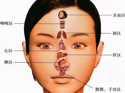 五分鐘點穴按摩法 讓你按哪裡瘦哪裡