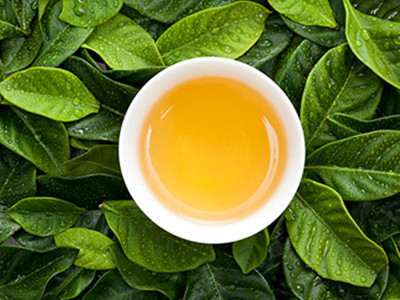 秋季最受歡迎的幾款瘦身茶是什麼？