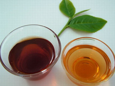 冬季減肥喝什麼茶效果最好？