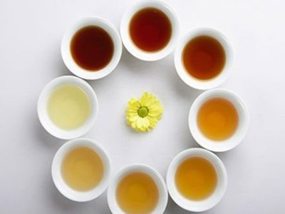 夏季喝什麼茶葉能減肥